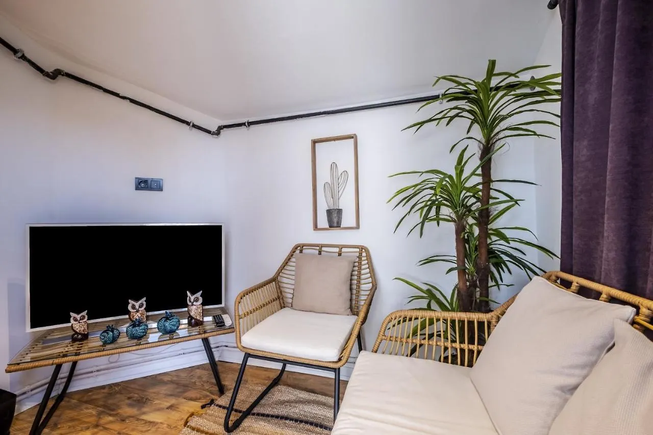 Lovely Flat With Terrace On Istiklal Street Estambul Turquía